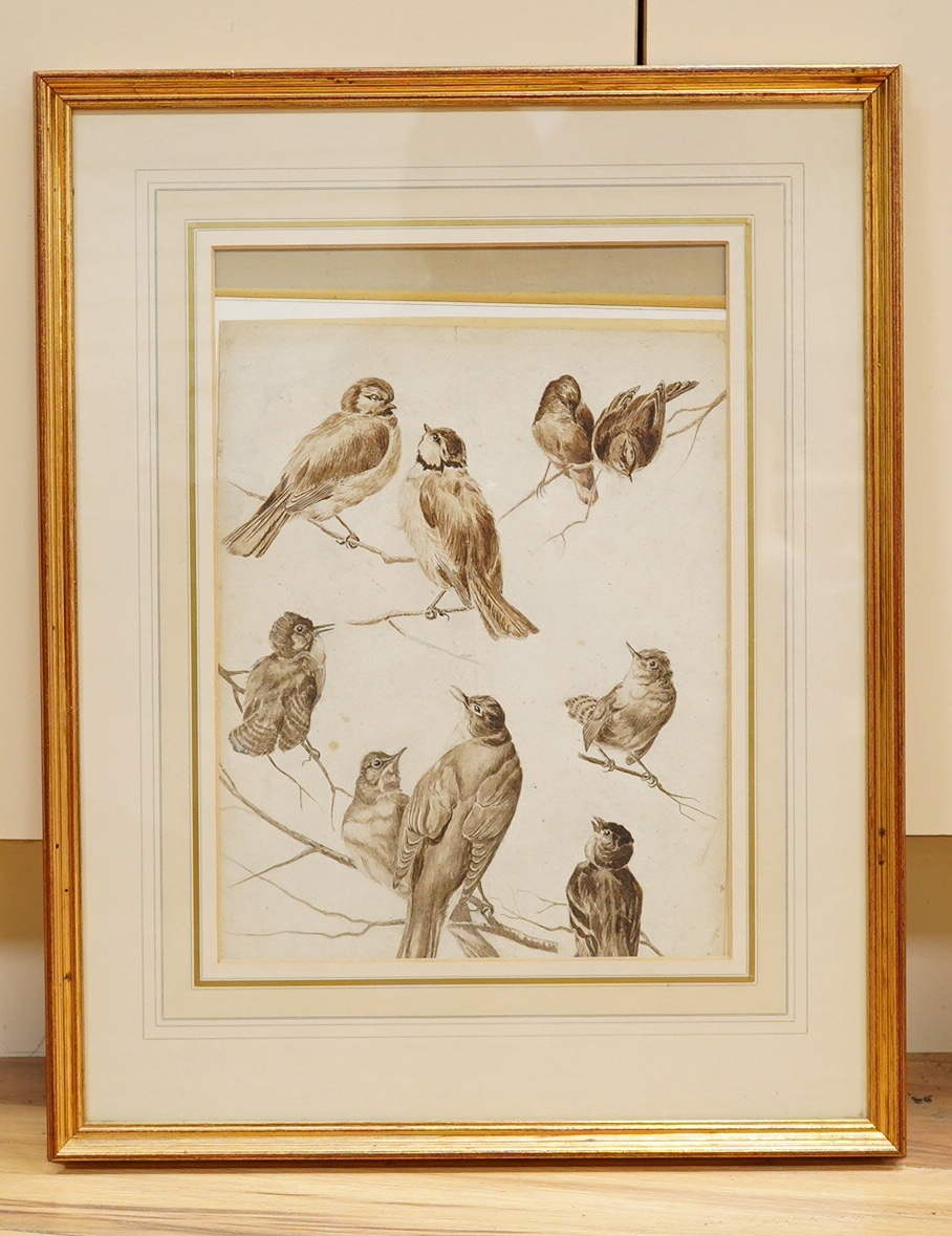 19th century School, monochrome watercolour, Studies of birds, 34 x 24cm. Condition - fair